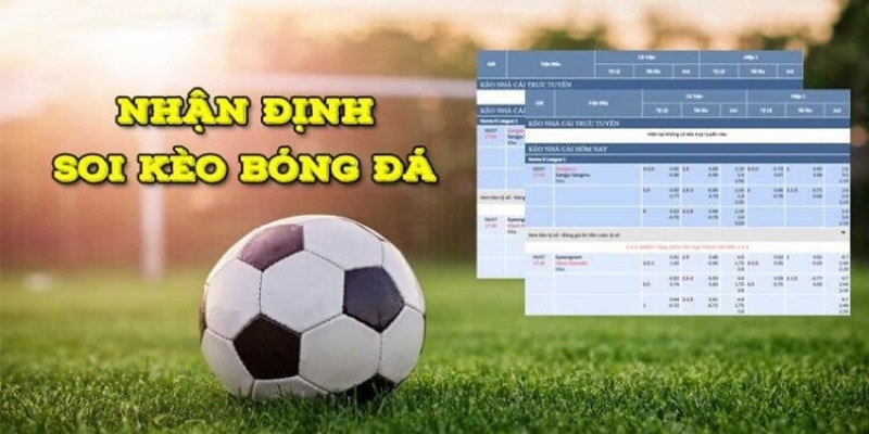 Nhận định và dự đoán tại HB88 có nguồn tin uy tín